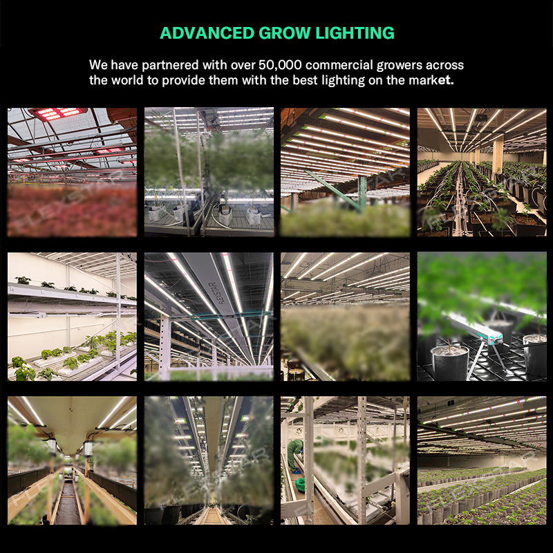 FLEXSTAR 2024 New Full Spectrum Samsung Led Grow Light Bar for Indoor Greenhouse Plants Grow