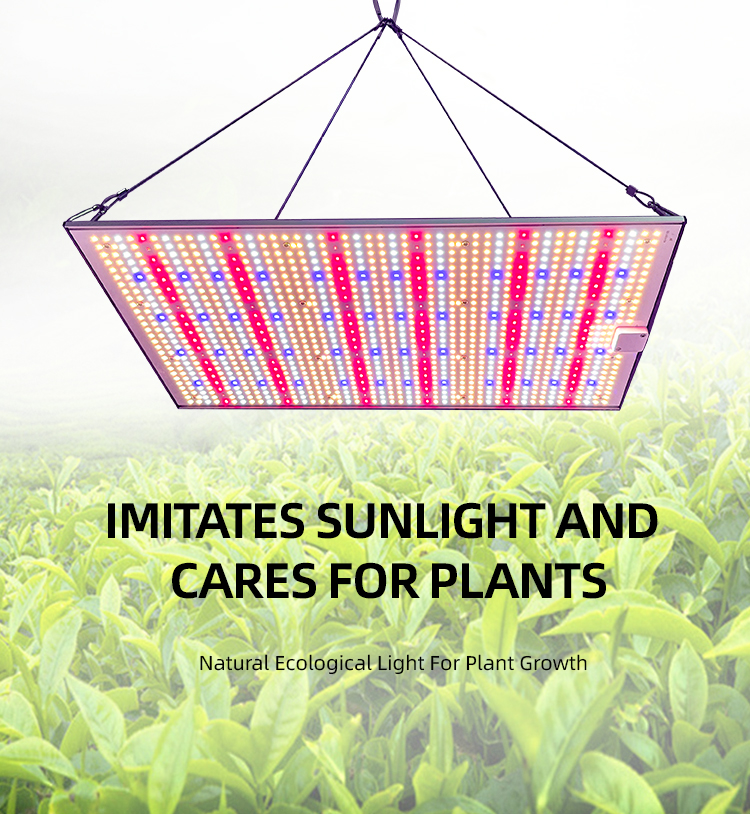 LED Grow Light Detail 1