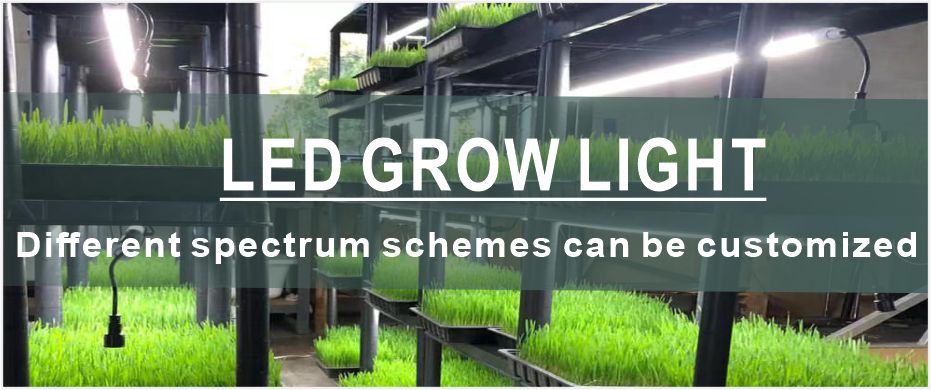Professional LED Grow Light