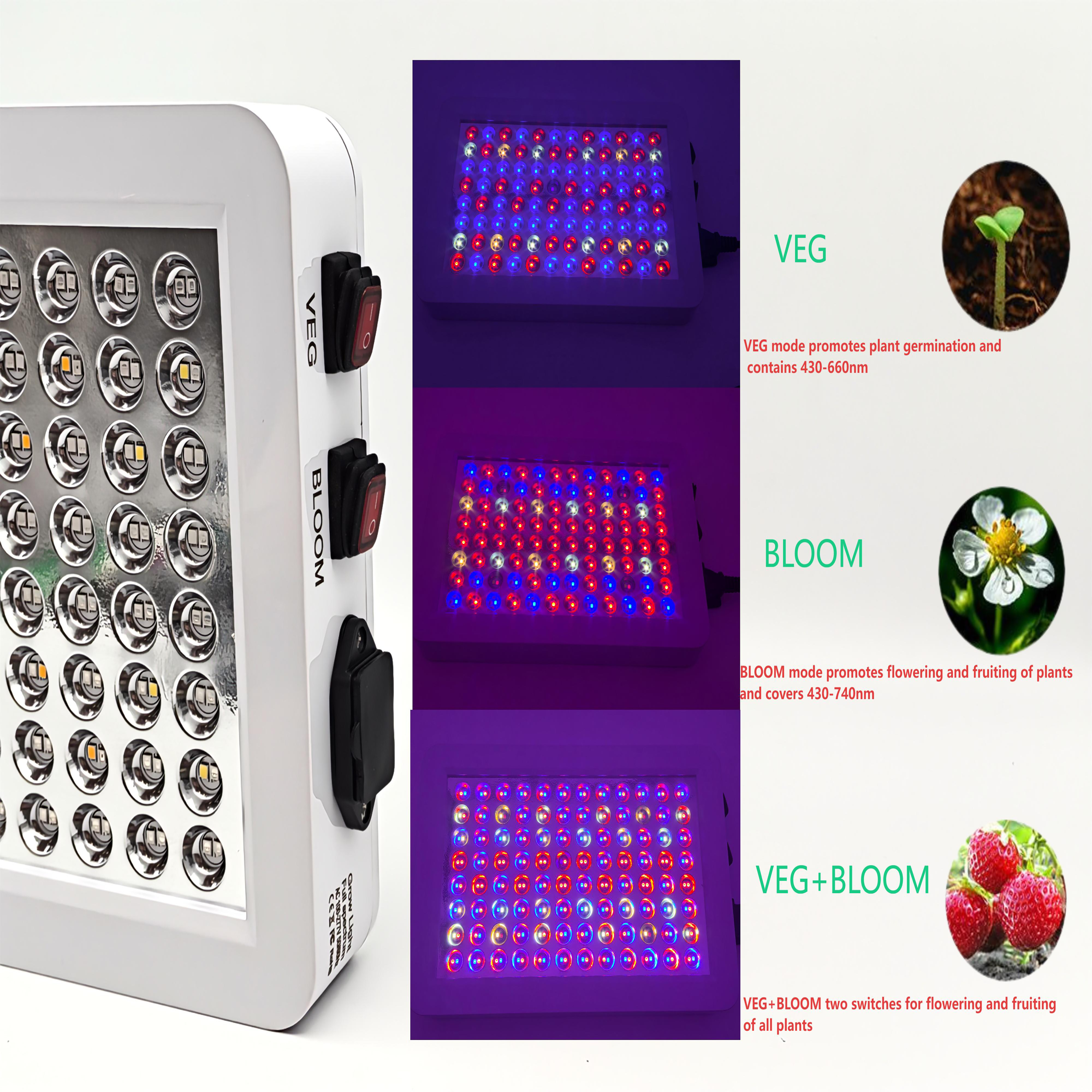 Grow Light
