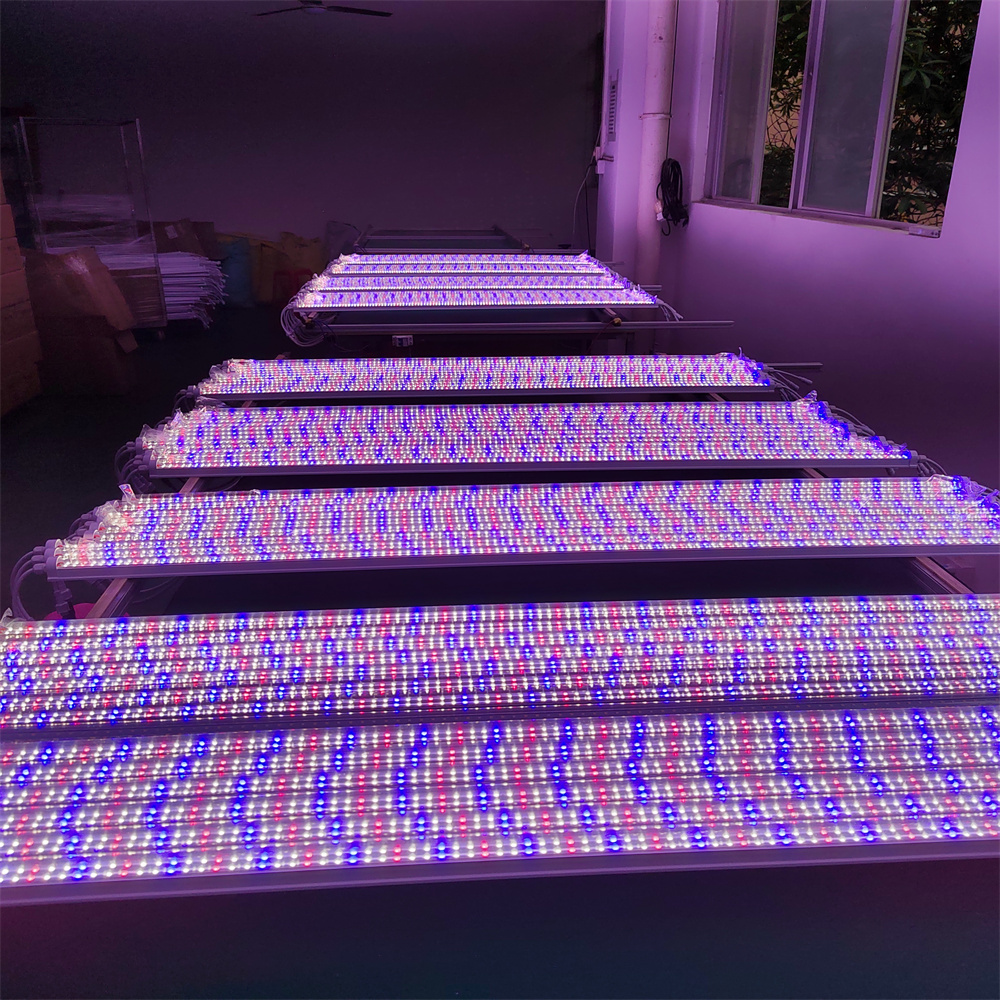 Best Ip65 Horticulture Indoor LED Grow Light Bar 2ft 3ft 4ft Full Spectrum Blue Red Aluminum Lamp Waterproof Chip for Plants