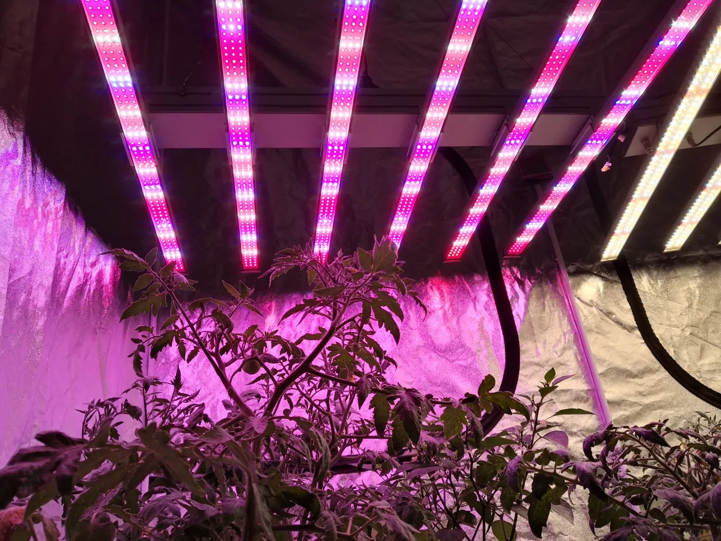 10 Bars Full Spectrum LED Grow Light Fluorescent Tube Fixture 1000W for Vertical Farming
