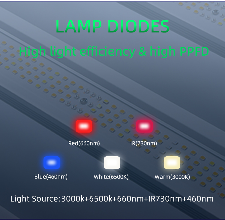 LED Grow Light View 3