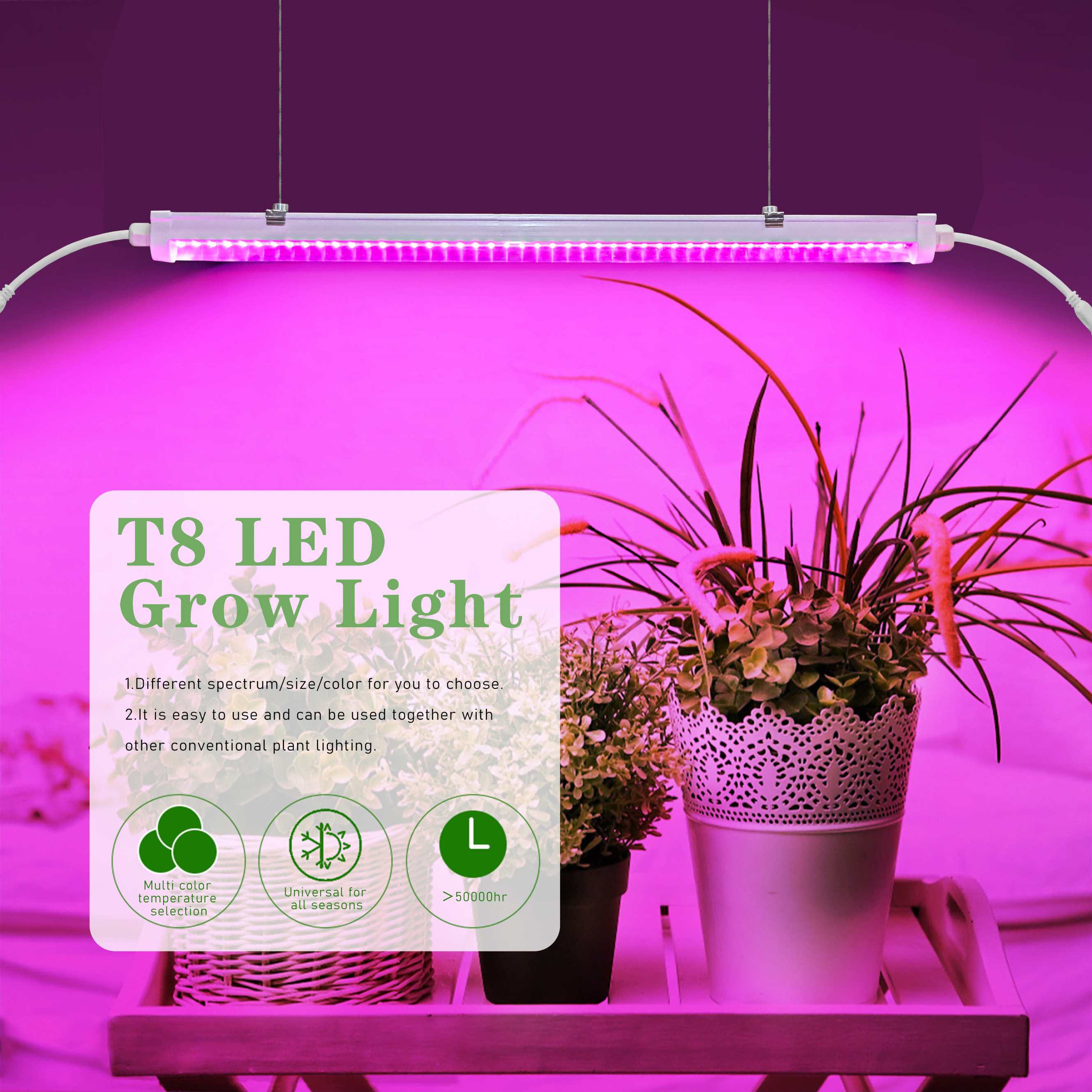 LED Grow Light Product Details