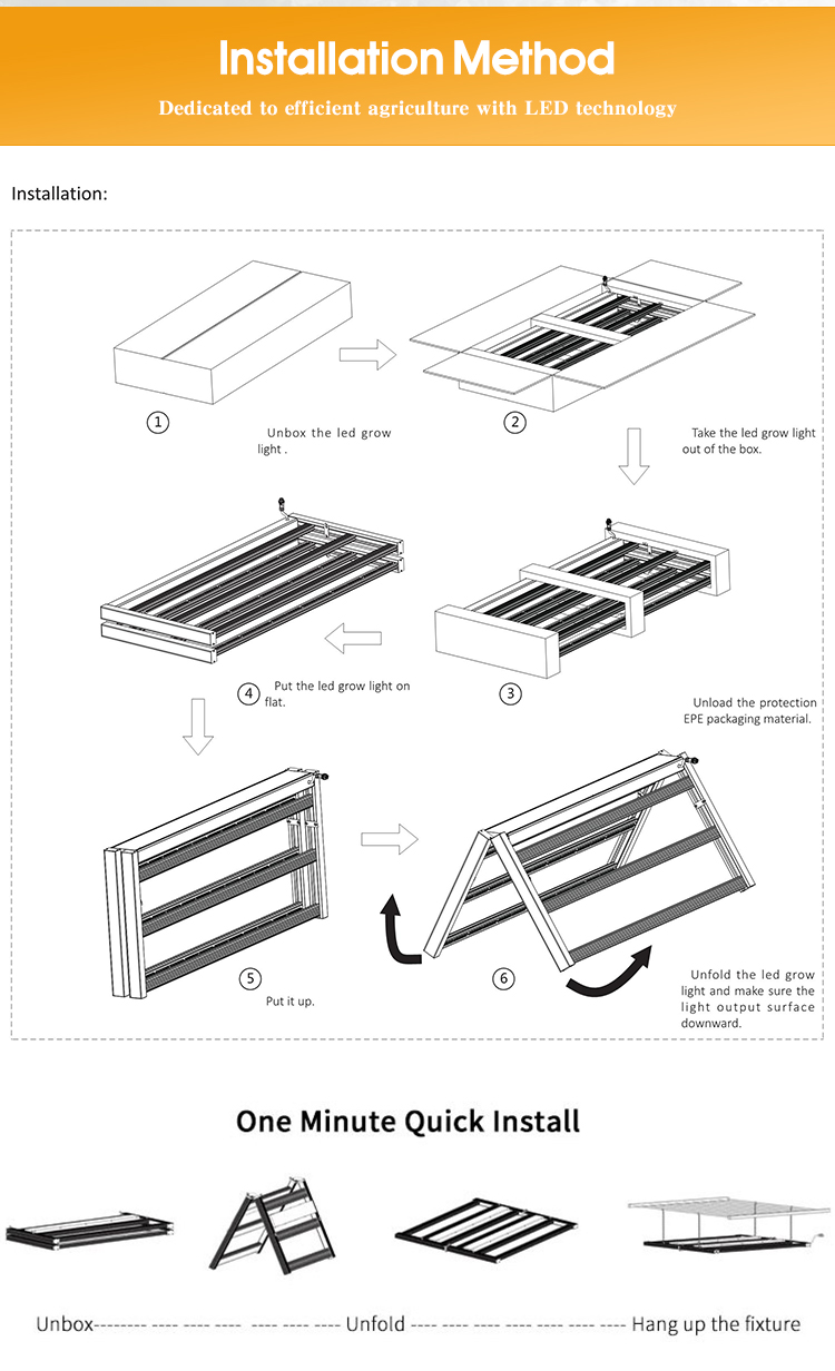 Packaging Process 1