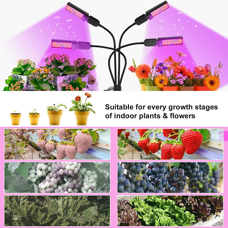 Grow Lamp Feature 5