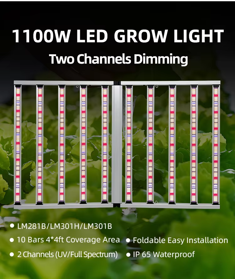 Two Channels Dimmable Full Spectrum UV IR Grow Light Strip LED Growing Lights for Indoor with Lm301b Lm301h LM281b