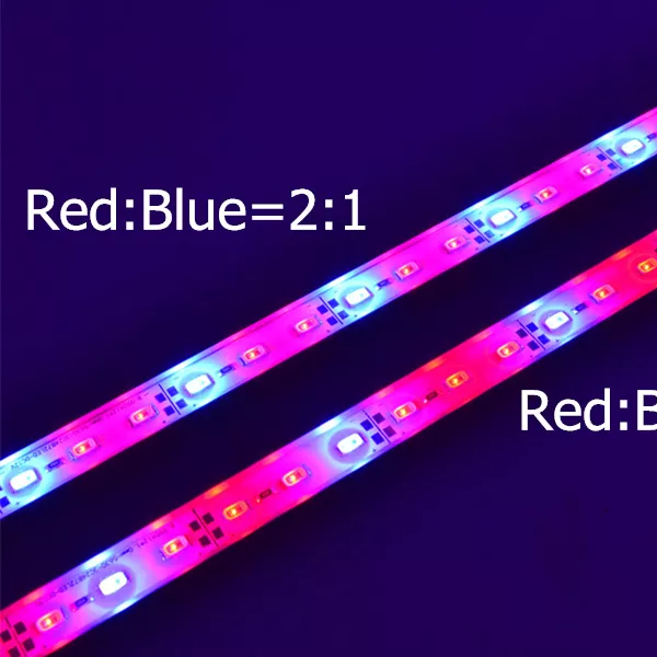 Full Spectrum IP65 Hydroponic Led Strip Grow Light with Red+Blue+White LEDs for Plant Growing & Bloom High CRI 90 10W