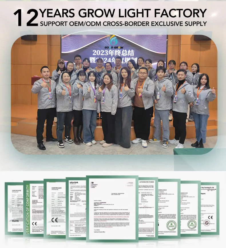 Grow LED Lights