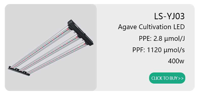 UV-30 Product Dimension Details