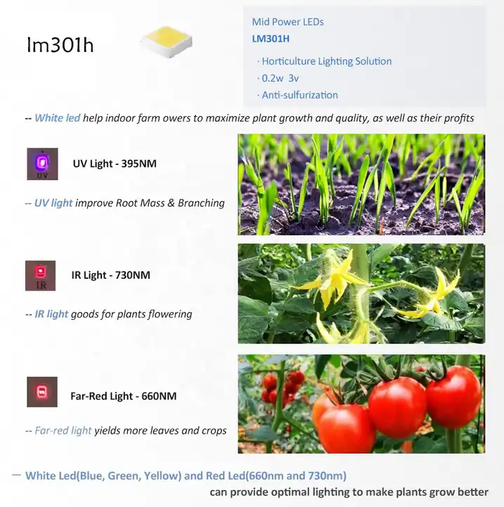 Top Full Spectrum Uv Ir 600w 720w 800w 1000w Grow Light Led 8 Bar Dimmable Samsung Lm301b Lm301h Indoor Plant Led Grow Light