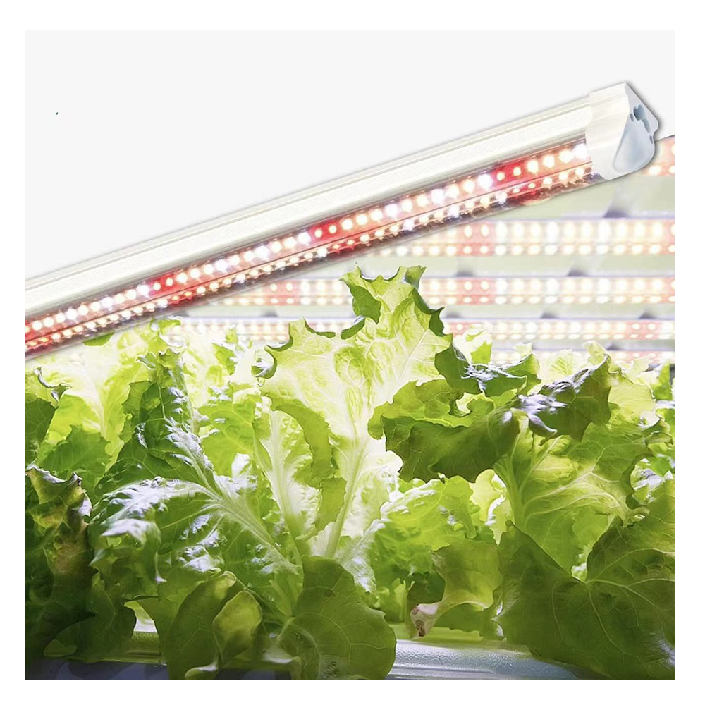 T8 LED Grow Light High Output Full Spectrum Sunlight Replacement LED Grow Light for Vegetables Greenhouse Vertical Farm Use