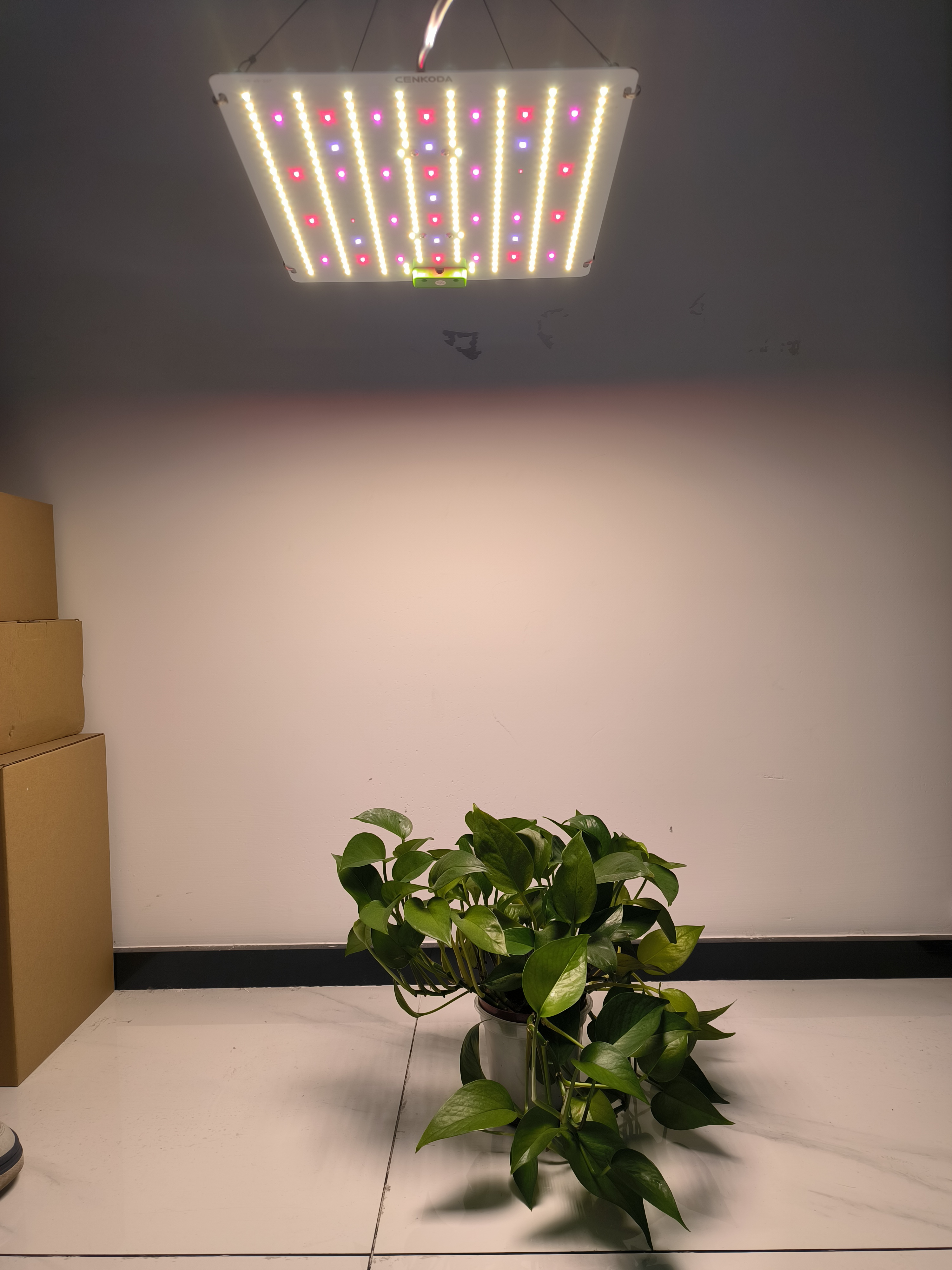 Led Grow Lights High Power Full Spectrum Quantumn Board Independent Control LM281B Grow Light 100W 200W