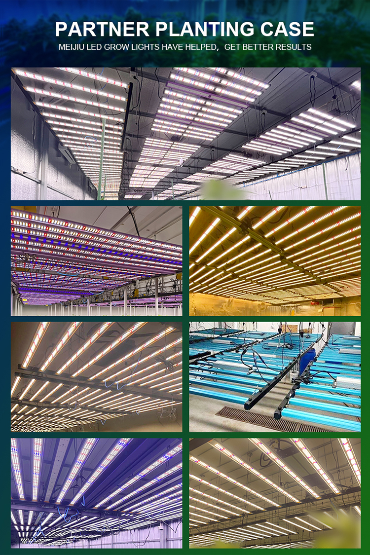 LED Grow Light Quality Banner