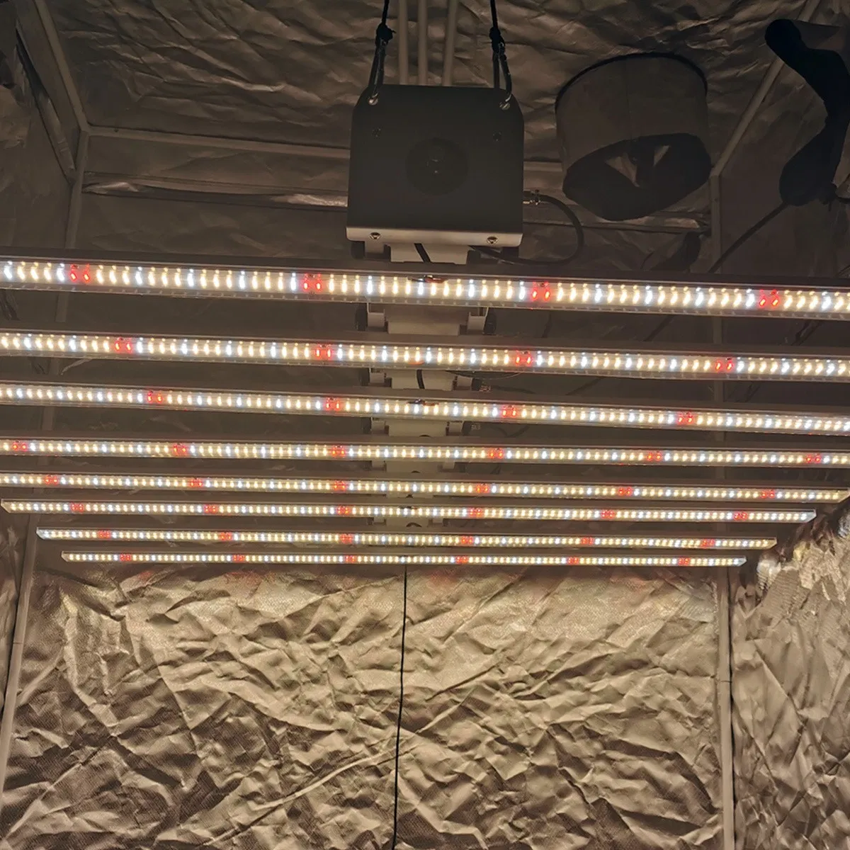 Toplighting Greenhouse Grow Lamp COB Horticulture Hydroponic Light for Indoor Plant Full Spectrum LED Grow Lights Ba