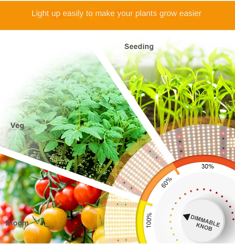 Product Specifications 1
