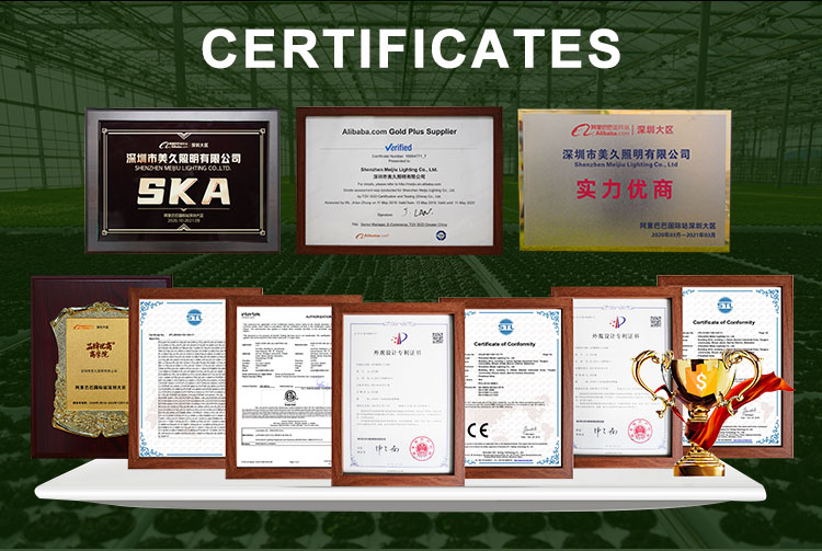 Certificates Display