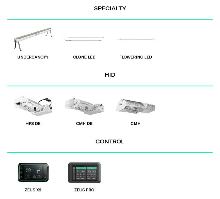 Related Product Option 2