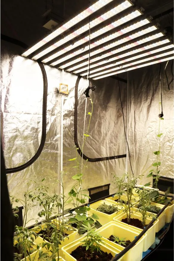 Hydroponic Dimmable Full Spectrum High PAR LED Grow Light Bar 600W/800W/1000W Spider LED Grow Light