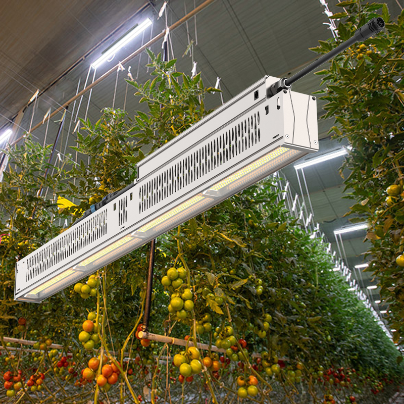 Upgraded Aluminum Linear LED Grow Light GT 420W/330W GR9 High Yield IP65 Bloom Indoor Greenhouse 5-Year Warranty
