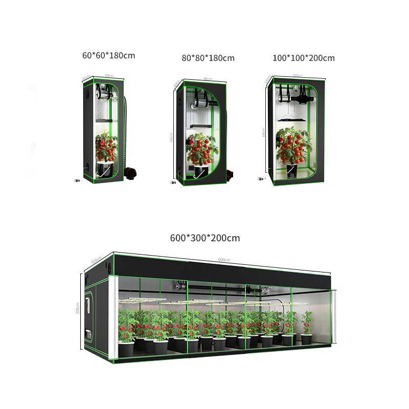 Grow Tent Grow Box Super Durable Material 600D Polyester Fiber High Reflective Mylar Film Metal Frame For Indoor Growing
