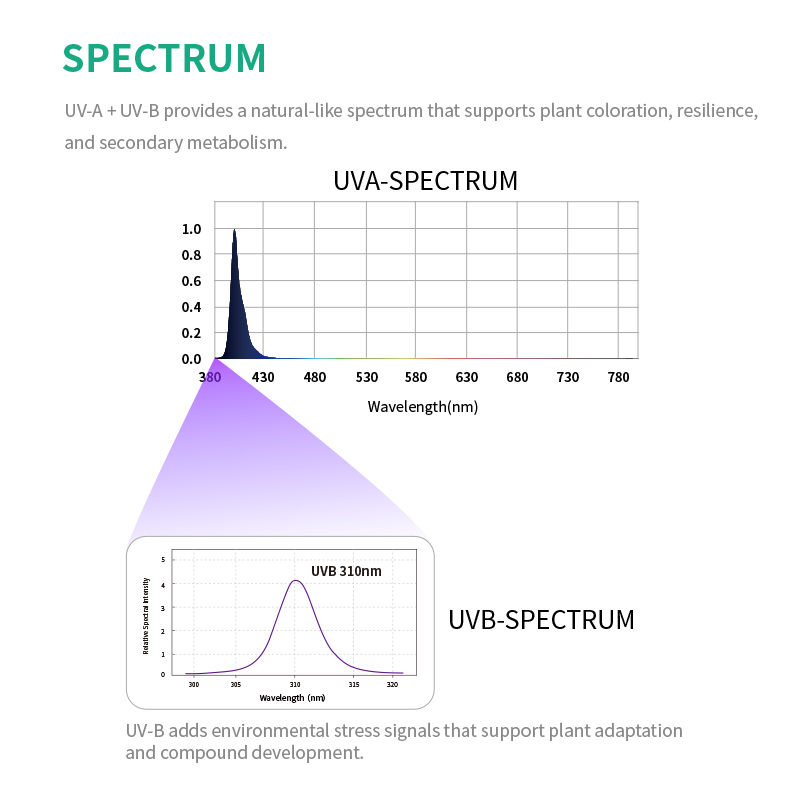 Supplemental IP65 Rated Aluminum COB LED Grow Light Bar with Full Spectrum 30W UVA UVB for Bloom Application