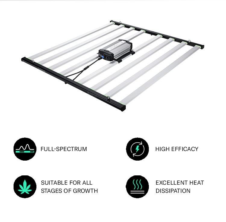 Product View 1