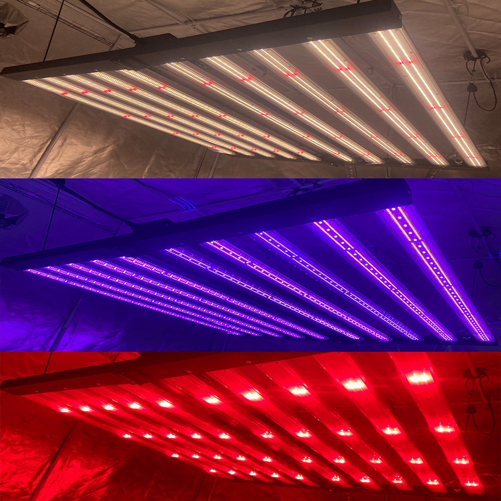 Three way dimming Grow light