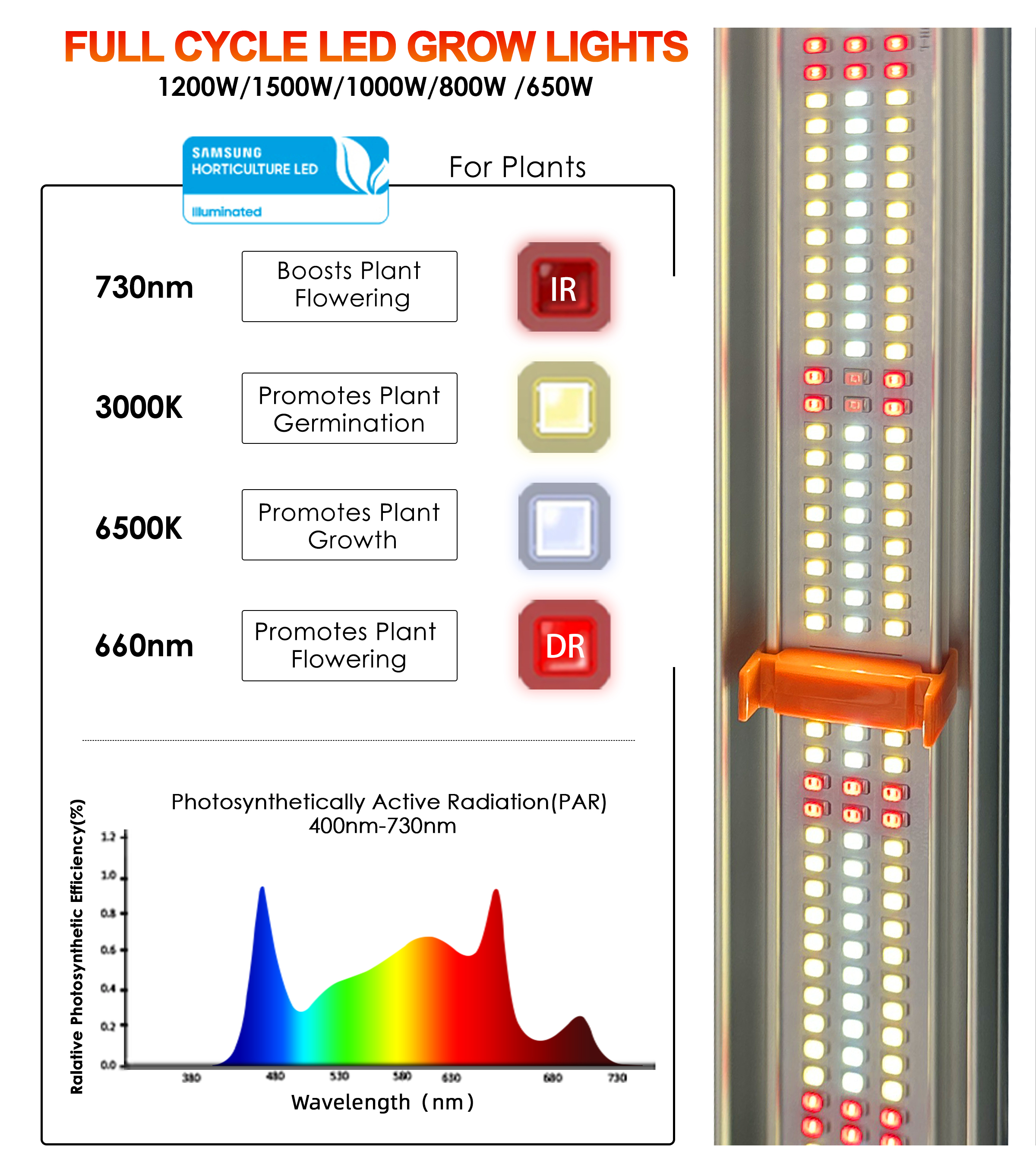 Product View 1
