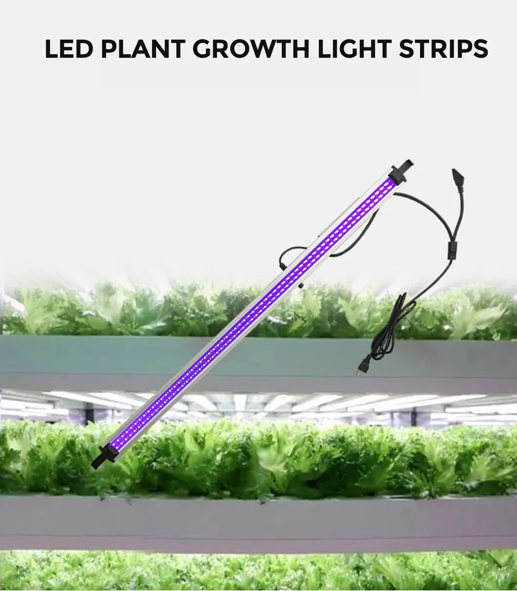 Supplemental LED Grow Light Bar 100W UV with RJ45 Daisy Chain, Aluminum IP54 Plant Light for Vertical Farming
