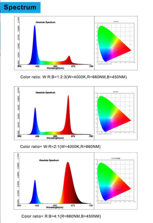 Light Spectrum Detail