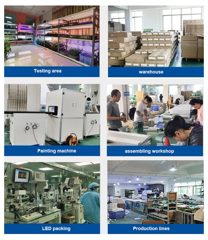 Production Process