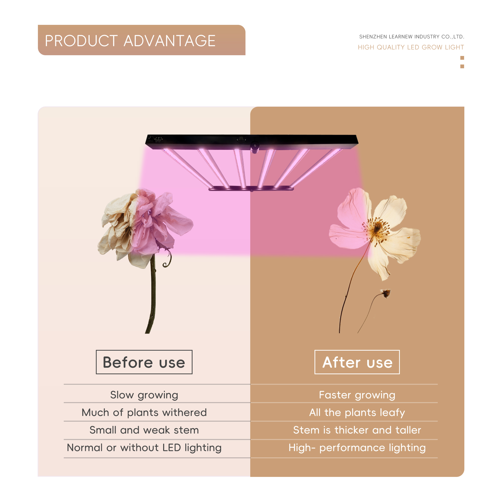 Product Detail 6