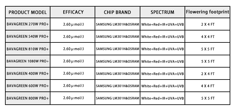 Product Details 3
