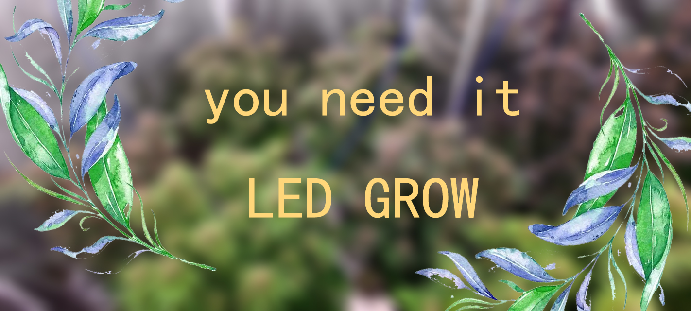 LED Grow Light Main
