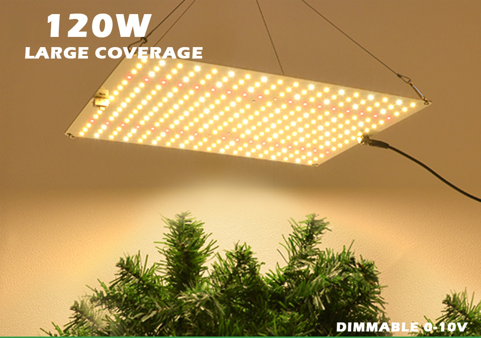 Promotion Top Selling 120W Full Spectrum LM281B Chip IP65 Led Grow Light UV IR Dimmable 2.1umol/J Indoor Plant Bloom