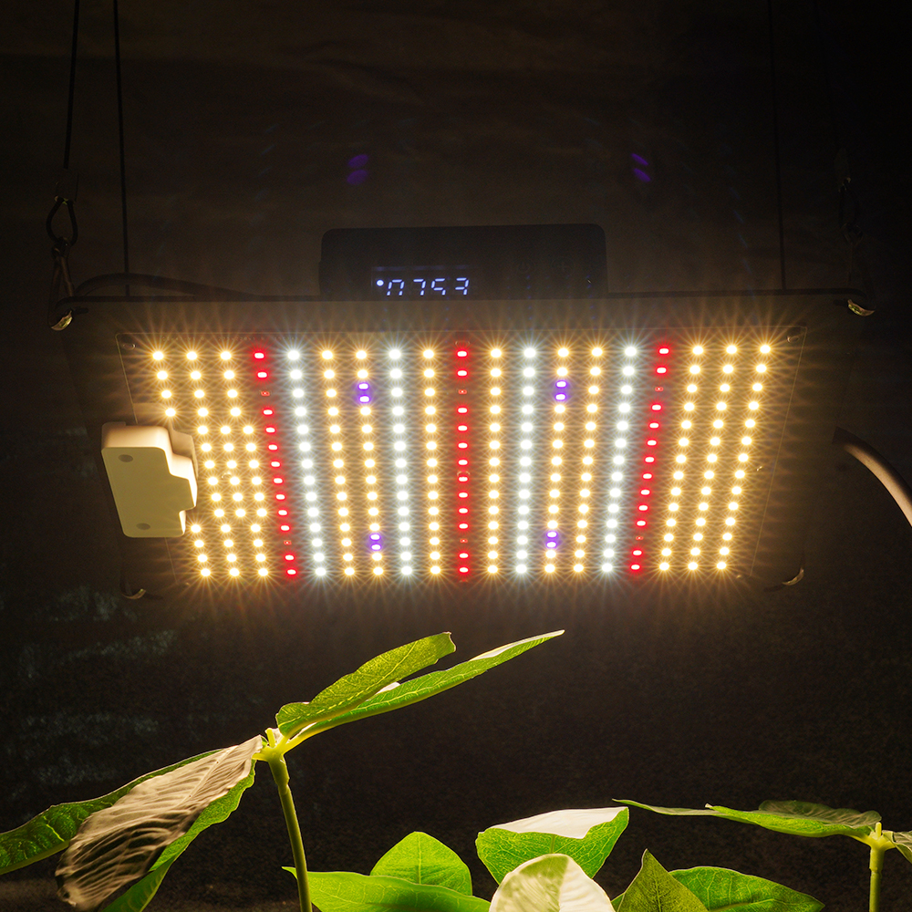 LM301H EVO Quantum Board Full Spectrum LED Grow Light With Samsung Diodes For Indoor Plants Hydroponic System
