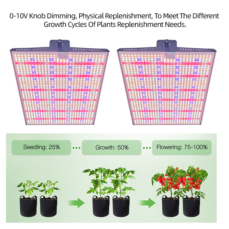ANDY Samsung LM301H EVO LM281B 100W 200W 300W Full Spectrum Quantum Board Plant Grow Light Panels with Daisy Chain Dimmable
