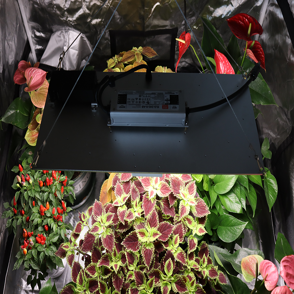Led Panel Grow Lights LED for Indoor Plants Growth Full Spectrum Grow Light Quantum Boards