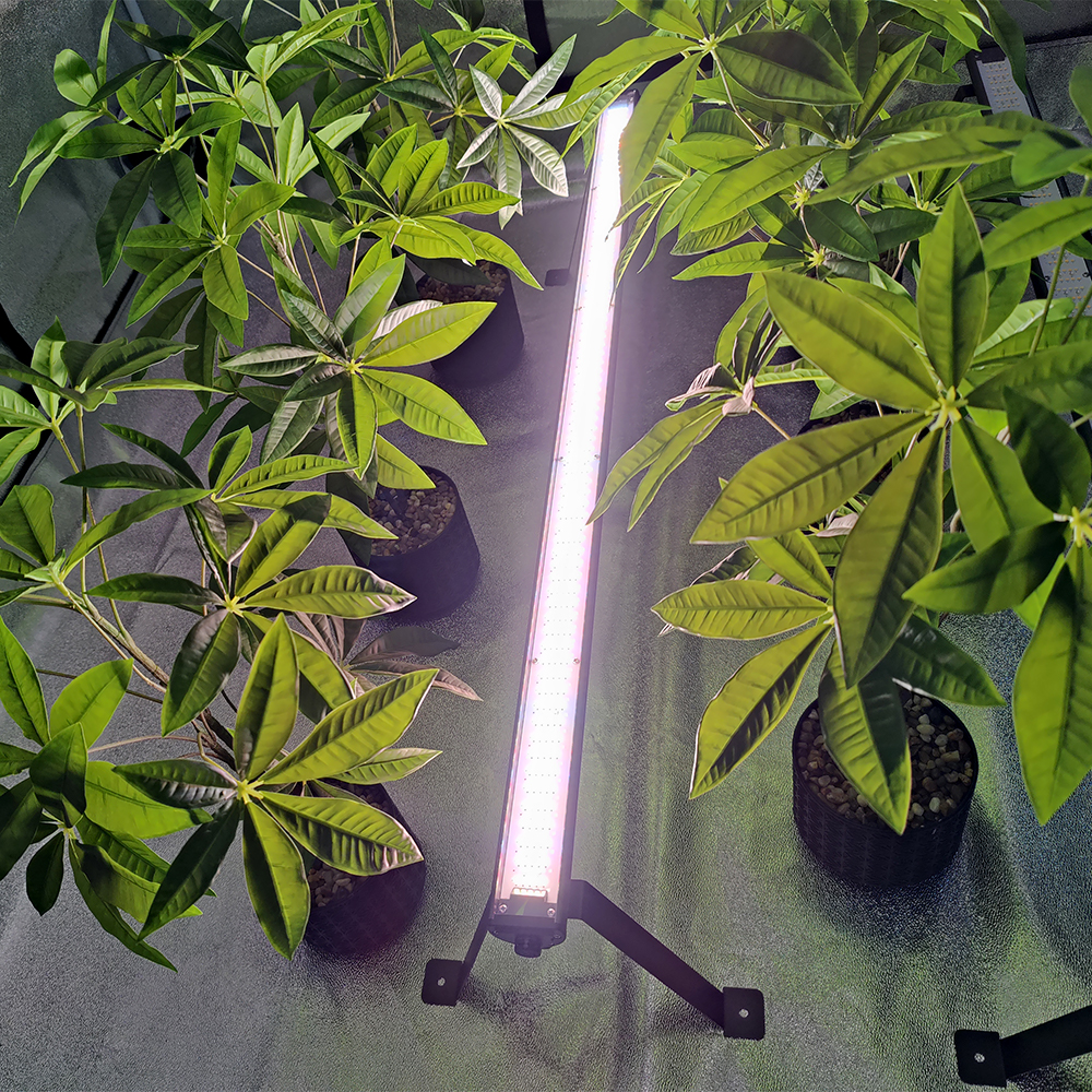 100W Undercanopy LED Grow Lights Bar Edge Lighting for Indoor Plants Full Spectrum Deep Red Supplemental Under Canopy Plant Lamp