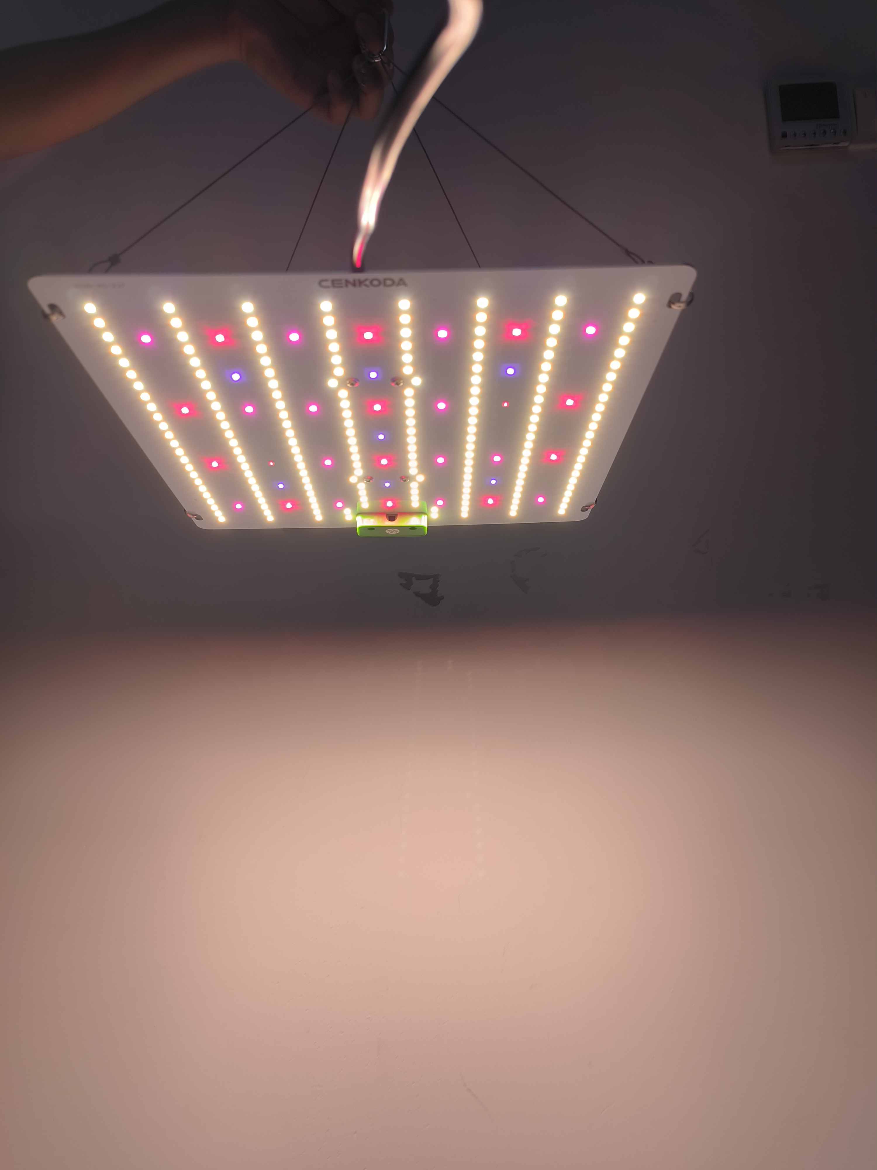 Led Grow Lights High Power Full Spectrum Quantumn Board Independent Control LM281B Grow Light 100W 200W