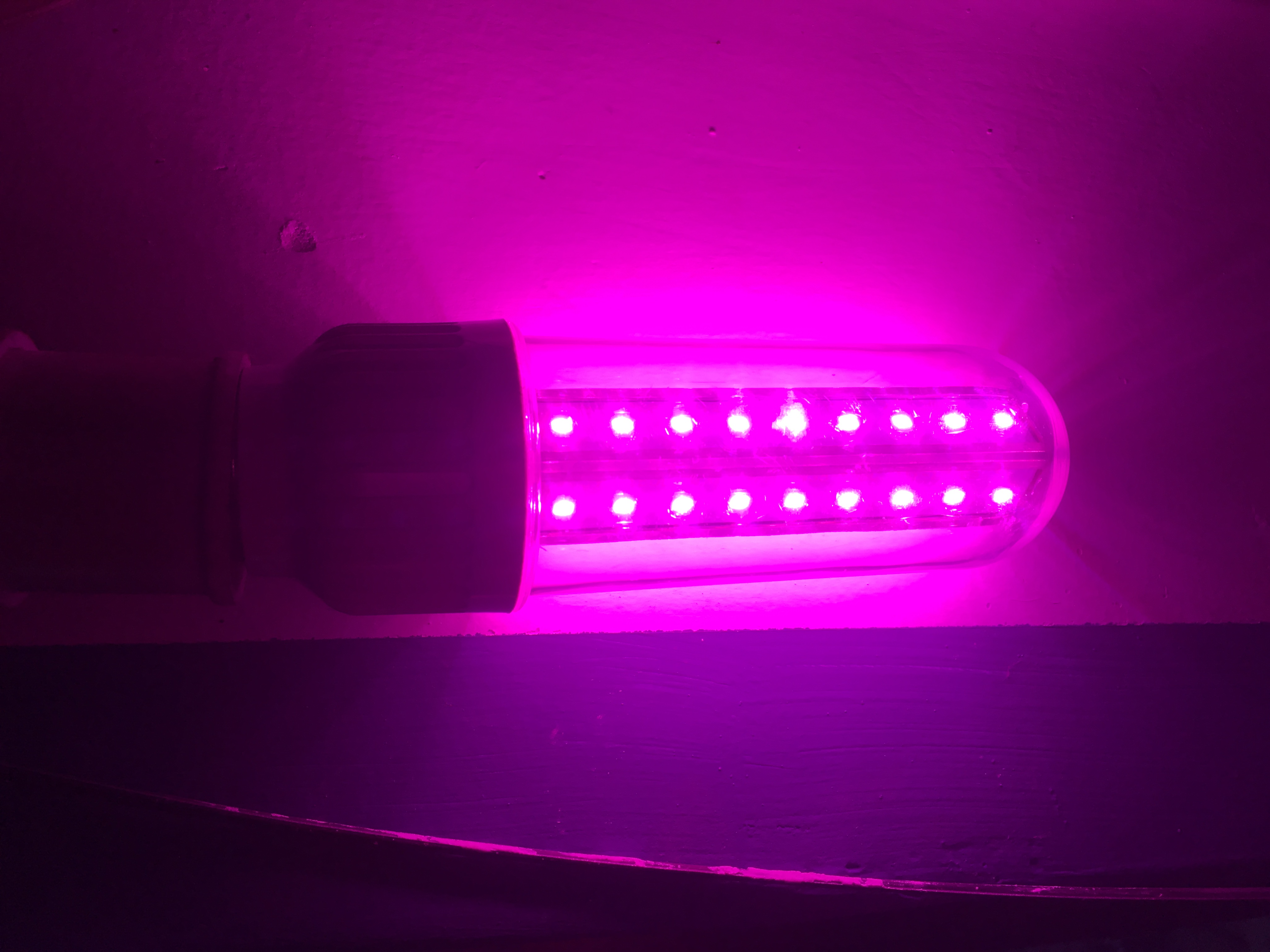 Grow Light Image