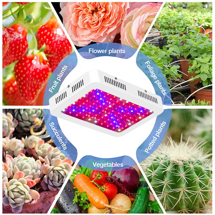 Grow Light System View 2