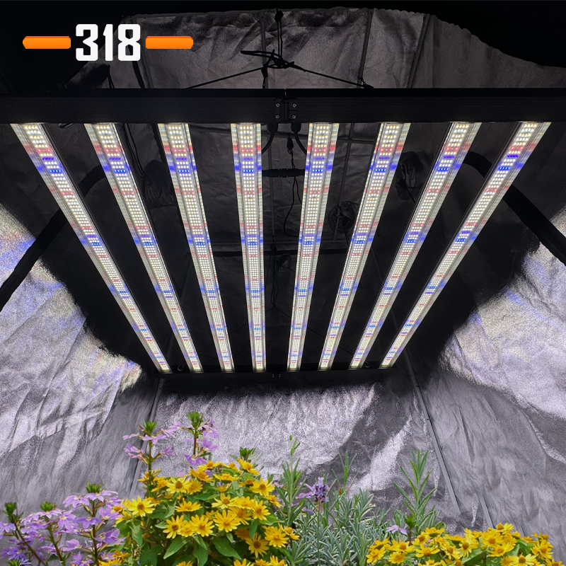 Grow Light