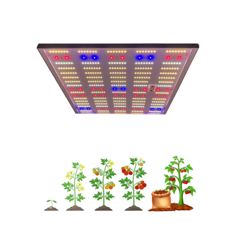 Horticulture Hydroponics Dimmable Full Spectrum Indoor 75w 150w 240w 320w 480w LED Grow Light