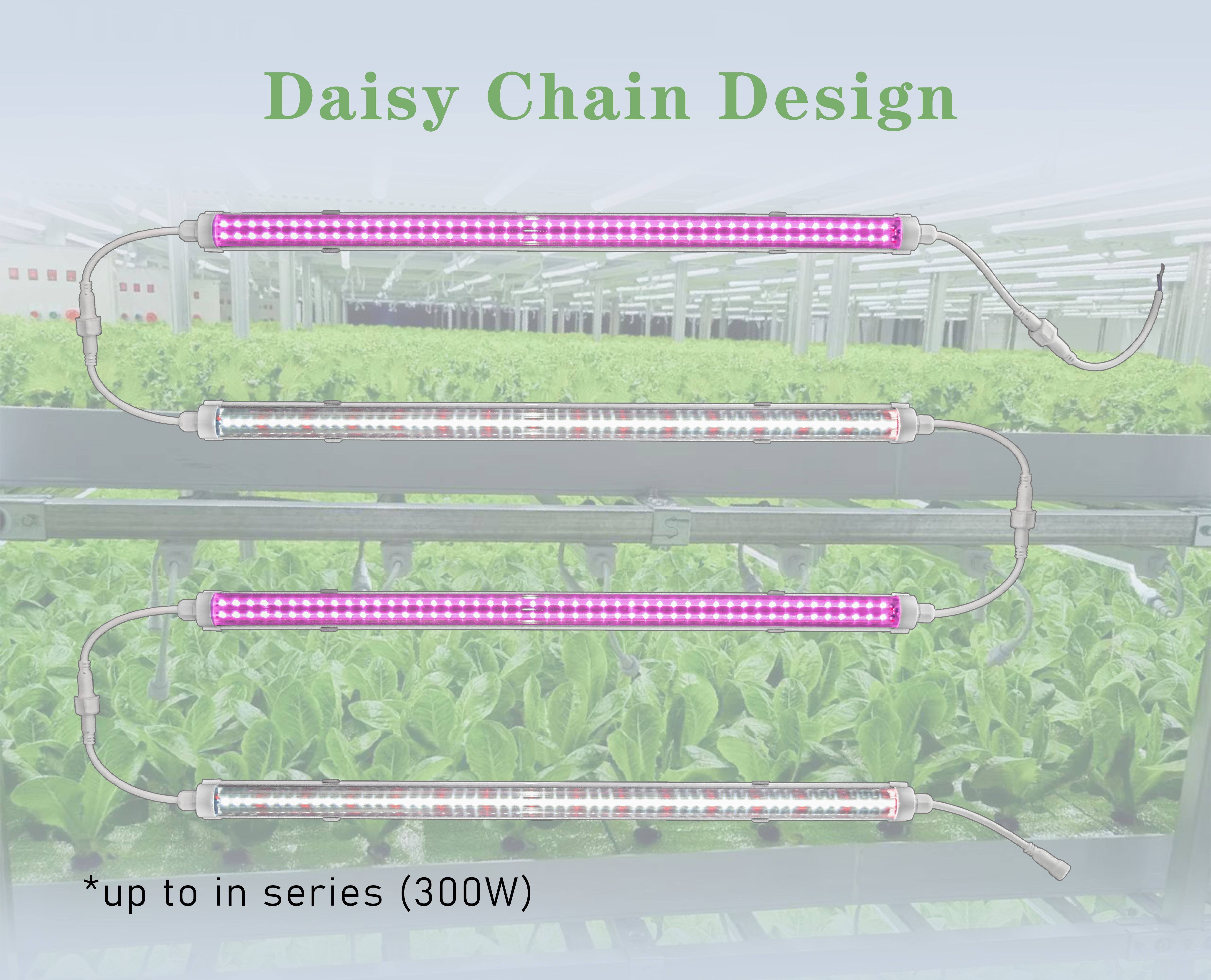 LED Grow Light Assembly