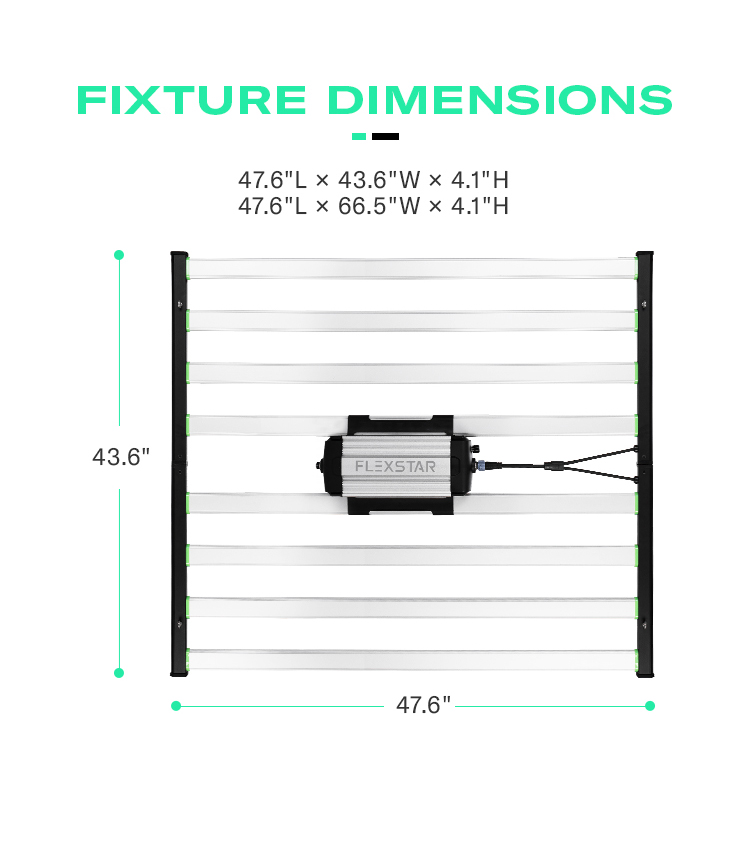 Product Details 3