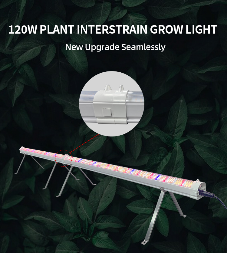 Under Canopy Grow Light Detail 1