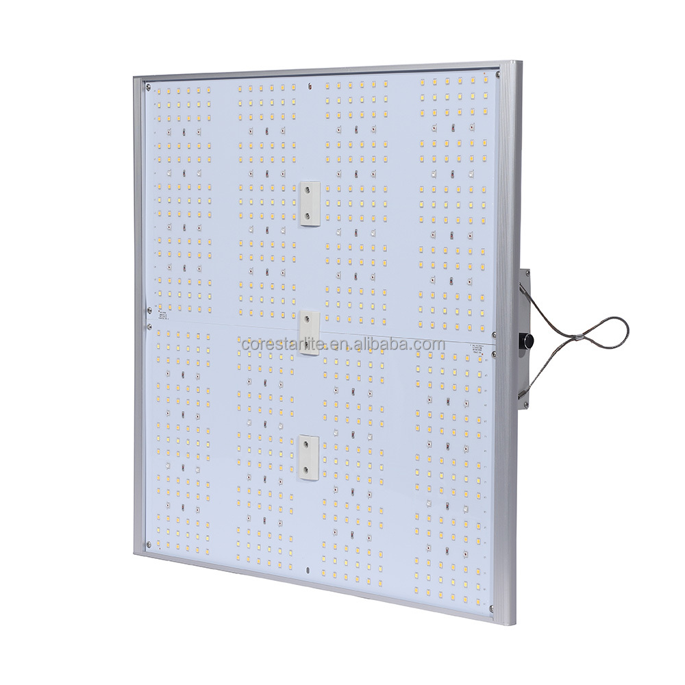 Grow Light Presentation 4