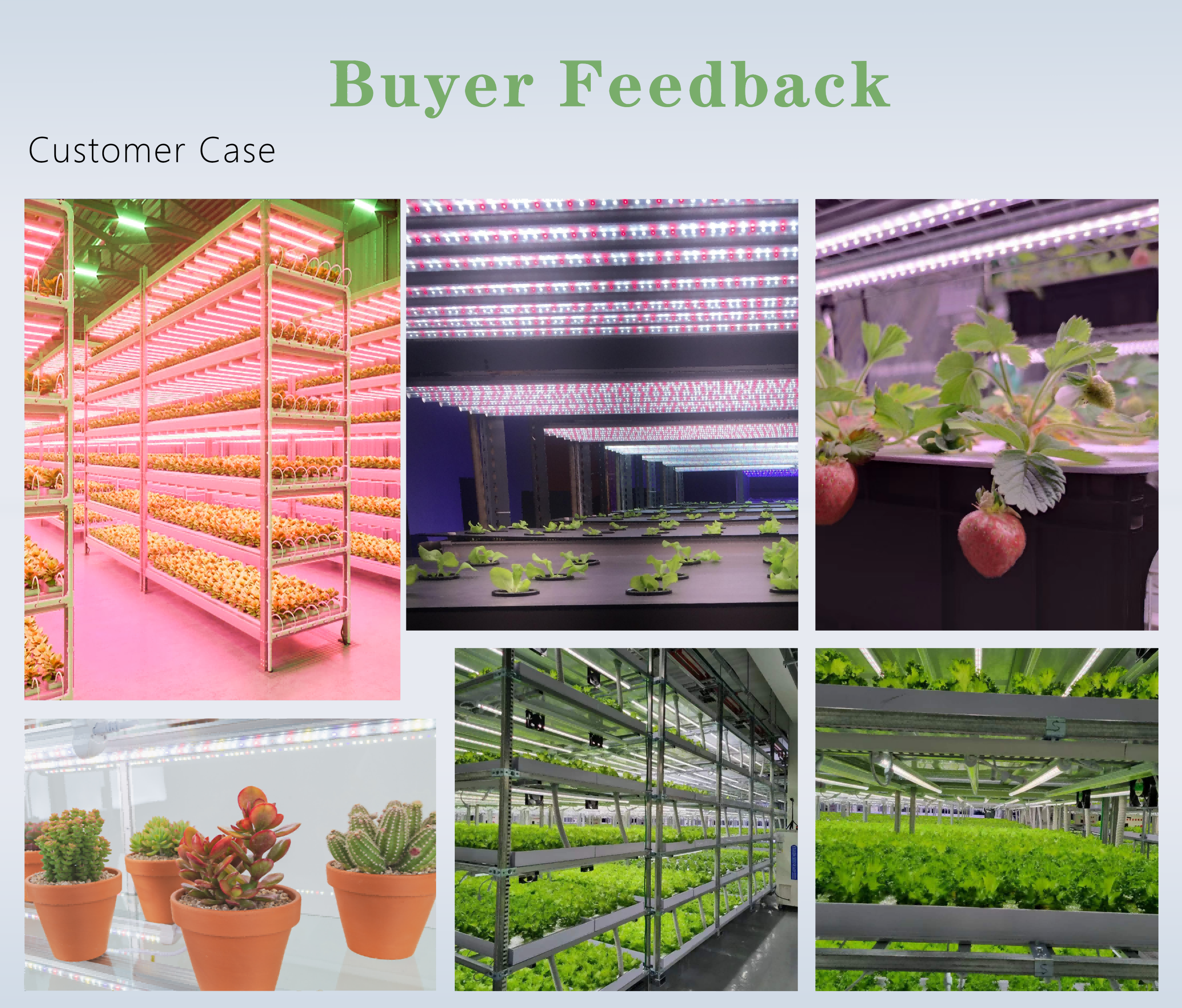 Product 6